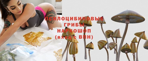 молекула духа Алзамай