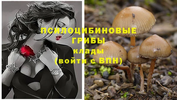 шишки Лихославль