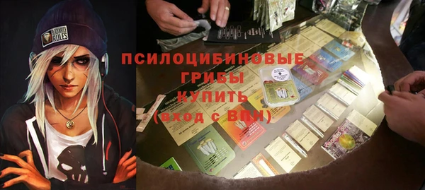 твердый Алексеевка