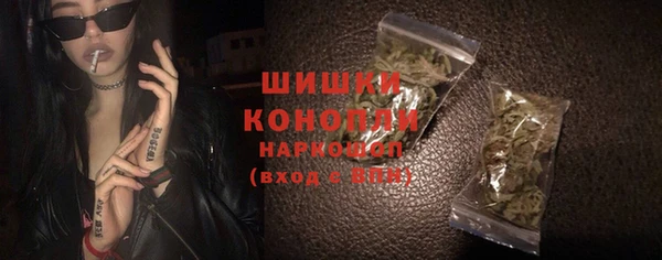 сатива Арсеньев